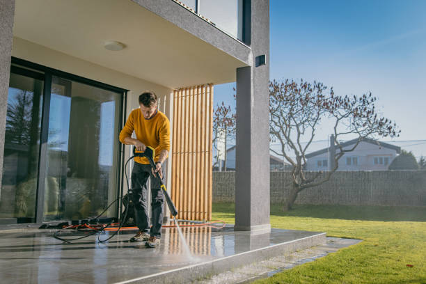 Best Pre-Holiday Cleaning  in Westvale, NY